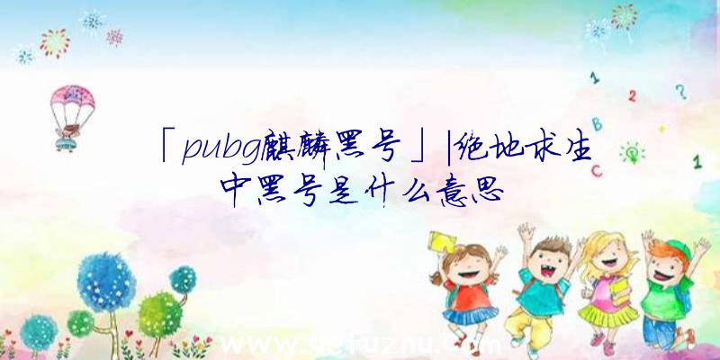 「pubg麒麟黑号」|绝地求生中黑号是什么意思